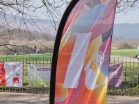 Feather Banner (Tony Marsh)